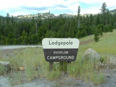 LAKE ALPINE - LODGEPOLE GROUP