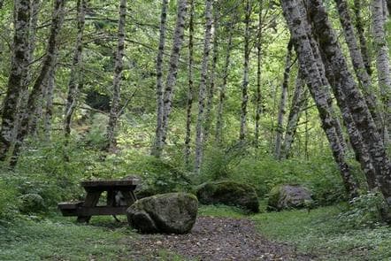 Coal Creek Group Camp