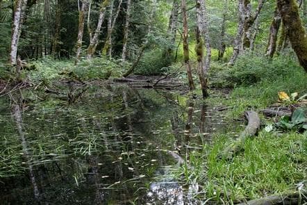Coal Creek Group Camp