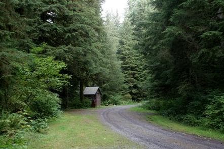 Wiley Creek Group Camp