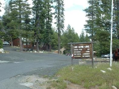 LAKE ALPINE - LODGEPOLE GROUP