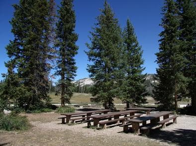 Twelve Mile  Flat Campground 