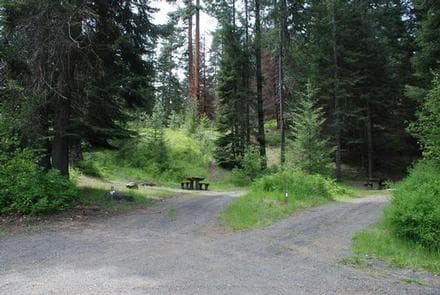 MINERAL SPRINGS GROUP