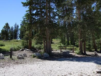 Twelve  Mile Flat Campground