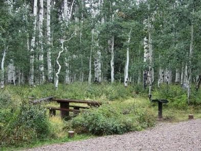Warner Lake campsite