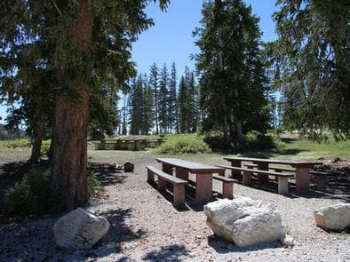 Twelve Mile Flat  Campground