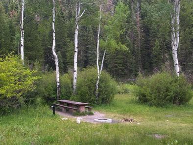 Manti Community Campground Site