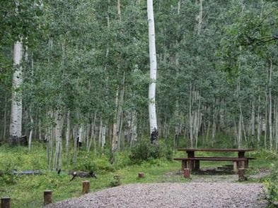 A Warner Lake campsite