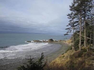 View of Kalaloch coastline 