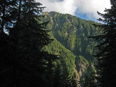 COUGAR ROCK CAMPGROUND