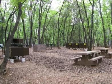 View showing picnic tables