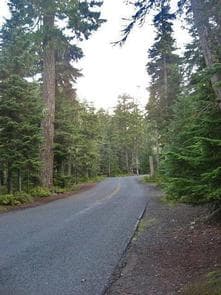 COUGAR ROCK GROUP CAMPGROUND