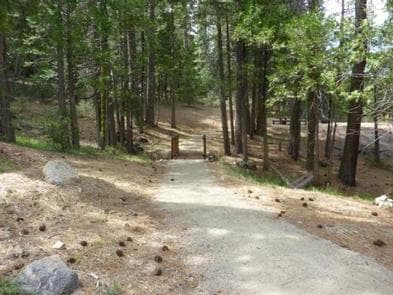 DORABELLE CAMPGROUND trail