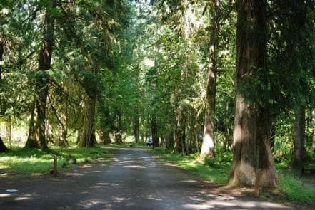 Tower Rock Campground 
