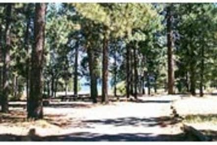 CHRISTIE CAMPGROUND