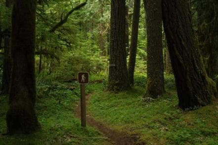 North Fork Bear Group Camp