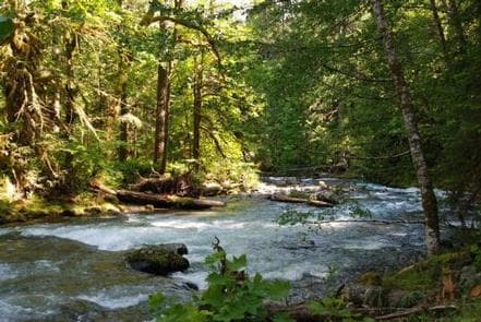 North Fork Beaver Group Camp