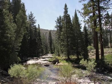 ROBINSON CREEK SOUTH