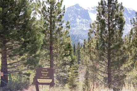 REVERSED CREEK CAMPGROUND