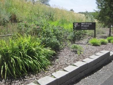 Rooks Park (WA) Bennington Lake