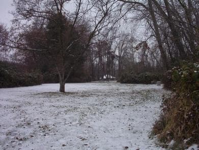 Rooks Park (WA) Bennington Lake