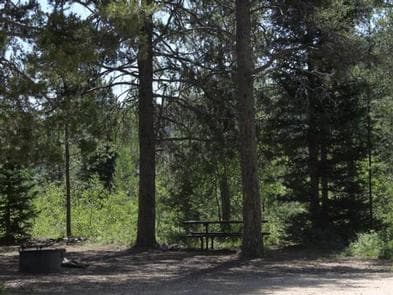 NORTH FORK CAMPGROUND - St. CHARLES CANYON