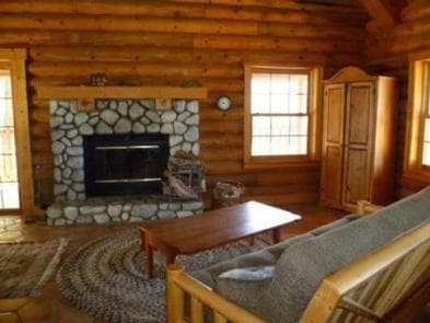 View of the Hillside Cabin's living room with stone fireplace and futon, and cabinent.