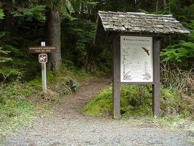 COHO CAMPGROUND