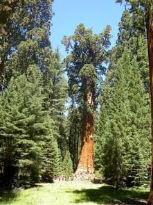 BUCKEYE FLAT CAMPGROUND