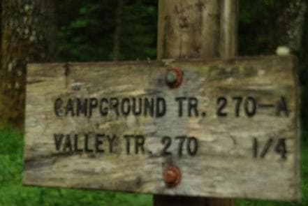 Blue Lake Creek Campground