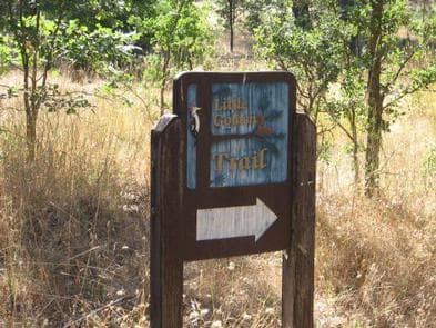 Pines Group Stanislaus