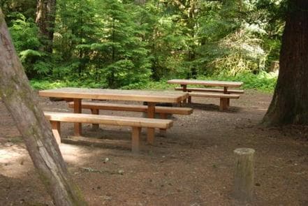 La Wis Wis Campground