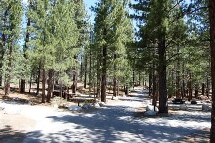 NEW SHADY REST CAMPGROUND
