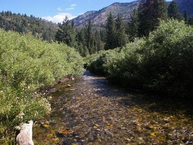 WILLOW FLAT CAMPGROUND