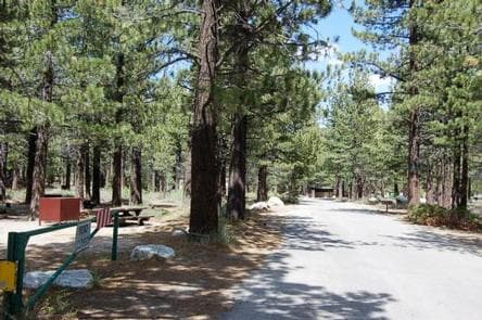 NEW SHADY REST CAMPGROUND