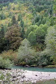 Marble Creek Campground