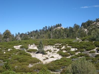 View from Shady Cove Group Campground.