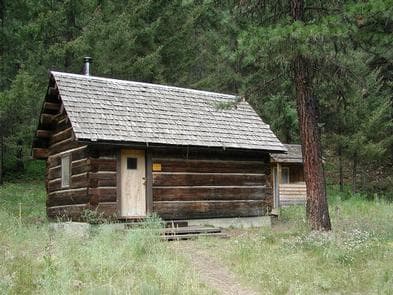 Small log cabin next to pine tree in open glade in front of conifer forest.