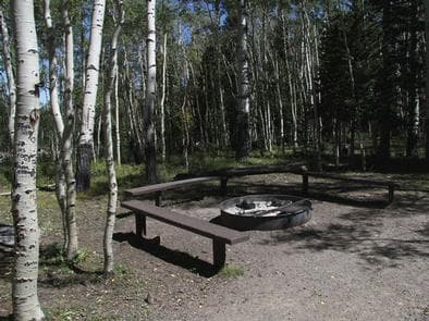 ELKHORN CAMPGROUND