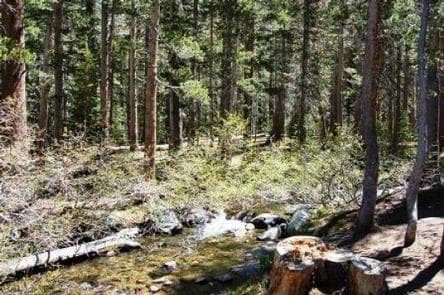 Coldwater Campground