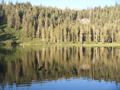 TWIN LAKES CAMPGROUND