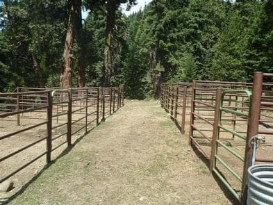 CARTER MEADOWS HORSE GROUP