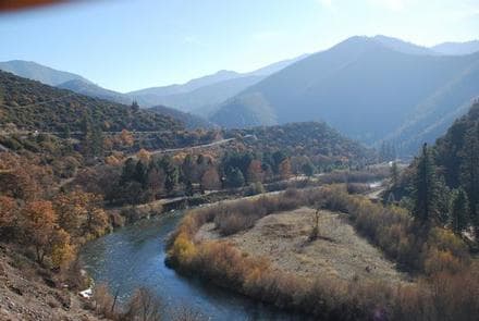 TREE OF HEAVEN CAMPGROUND