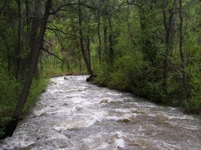 PONDEROSA PICNIC AREA