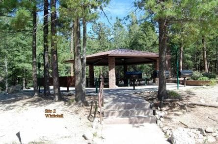 WHITETAIL CAMPGROUND