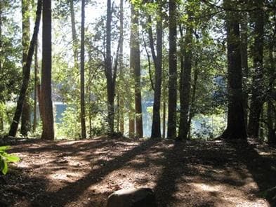 FISH LAKE CAMPGROUND