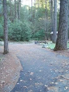 DILLON CREEK CAMPGROUND
