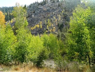 KIT CARSON CAMPGROUND