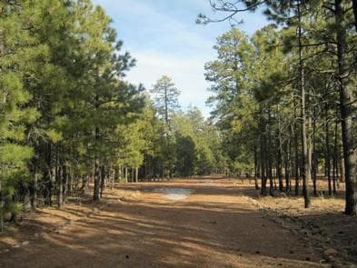 BLACK CANYON RIM CAMPGROUND