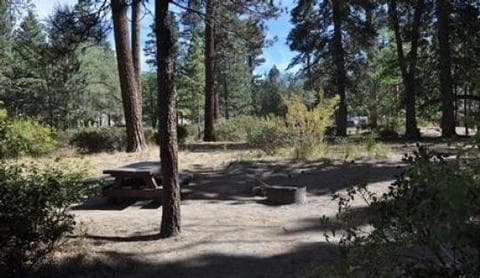 Picnic Table & Fire Pit at Hanna Flat Campground